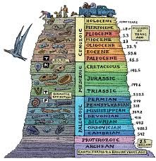 <p>Fossils are used to age sedimentary</p><p>rocks, not radiometric.</p><p>• Fossils of similar organisms are found in</p><p>widely separated places on Earth.</p><p>• Certain fossils are always found in younger</p><p>strata, and certain other fossils are always</p><p>found in older strata</p>