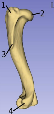 <p>What is 2? </p>