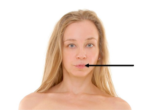 <p>mouth area on the head</p>