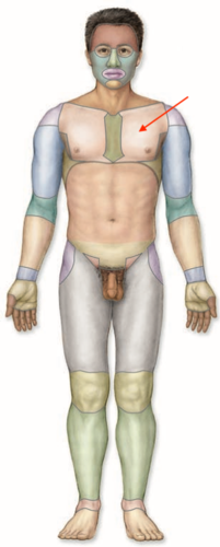 <p>what is this section called?</p>