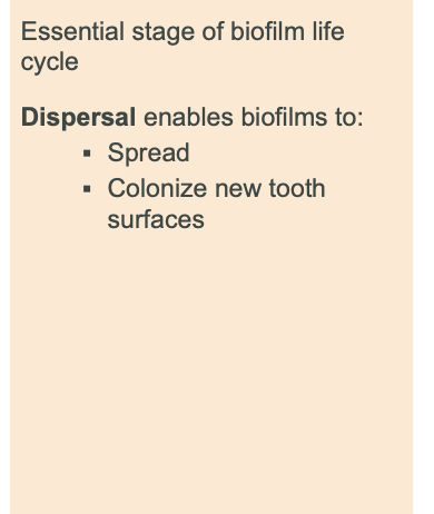 <p>escape from the matrix</p>