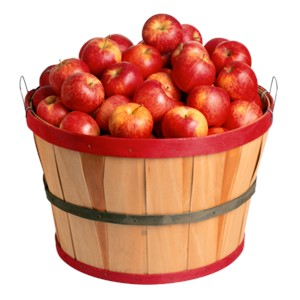 <p>lot</p><p>A lot means a large number or amount of people, animals, things, etc.</p>
