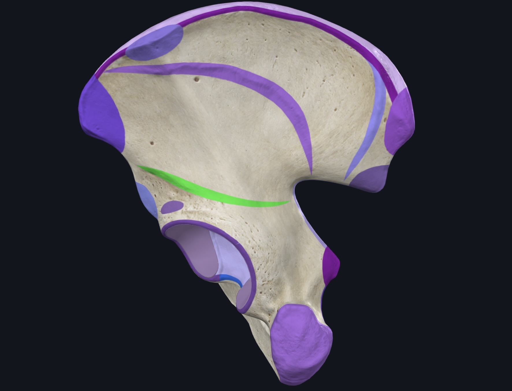 <p>¿Qué es esto? </p>