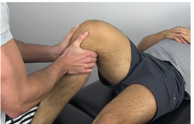 <p>Posterior translation</p>