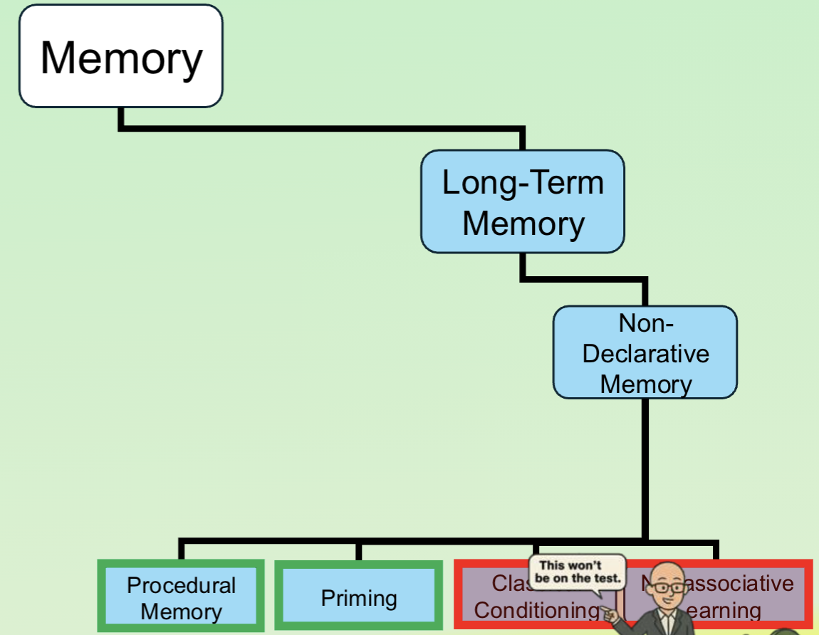<ul><li><p>Procedural Memory</p></li><li><p>Priming </p></li></ul><p></p>