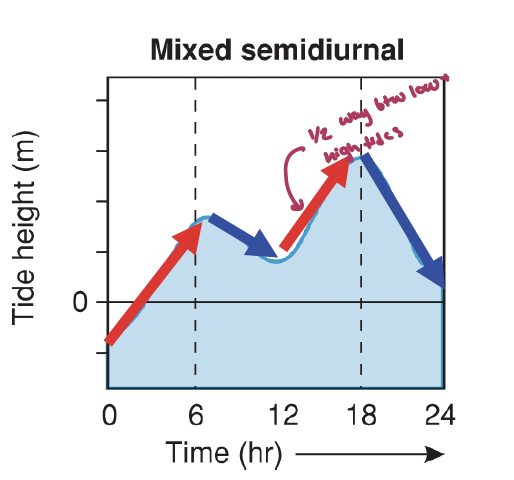 <p>the maximum current is halfway between low and high tides</p><p>it is slow in open oceans and fast in some coasts</p>