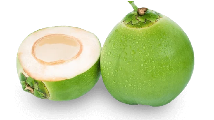 <p>Coconut</p>