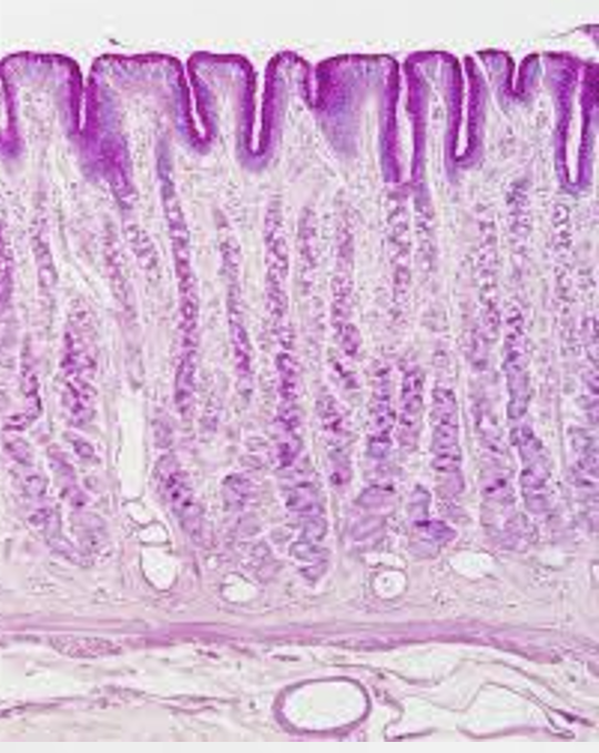 <p>what is this? </p>