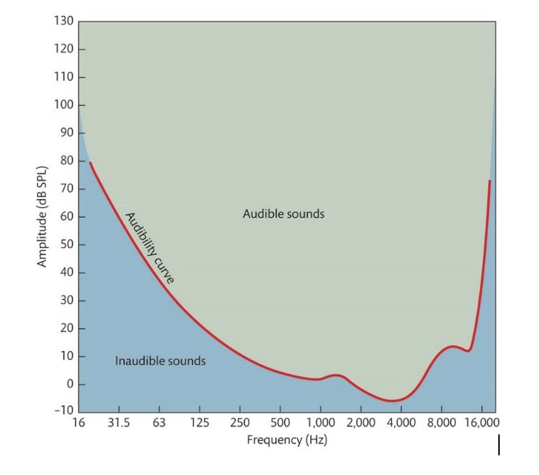 <p><span style="font-family: "Calibri", sans-serif;"><strong>Frequency range: </strong>Approximately 20 Hz to 20,000 Hz (20 kHz) </span>for a normal young adult. The range decreases with age (presbycusis), with high frequencies lost first.</p><p class="MsoNormal"><strong>Frequency and intensity relationship: </strong>Yes, the threshold for detecting a sound varies with frequency. The audibility curve (absolute threshold curve) shows the minimum amplitude (dB SPL) needed to just hear a tone at each frequency.</p>