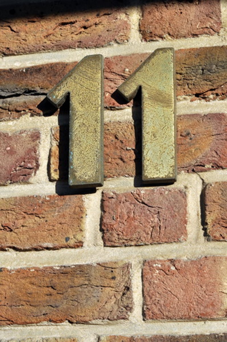 <p>11</p>
