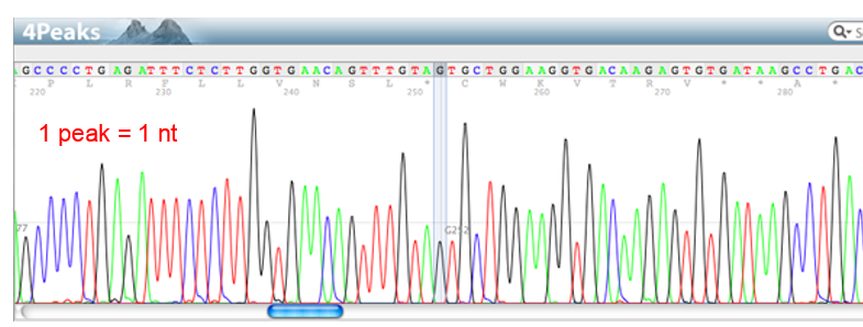 <p>What is a chromatogram?</p>