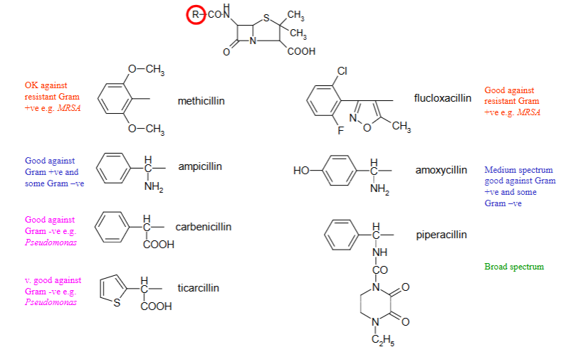 <ul><li><p>Carbenicillin - good for gram-</p></li><li><p>Methicillin - good for resistant (mrsa) and gram+</p></li><li><p>Ampicillin - good for gram+, some gram- and β‑lactamases inhibitor</p></li><li><p>Ticarcillin - good for gram-</p></li><li><p>Flucloxacillin - good for gram+</p></li><li><p>Amoxicillin - broad spec <span>and β‑lactamases inhibitor</span></p></li><li><p>Piperacillin - 2nd line as its broad spec antibiotic, good for resistant bacteria and β‑lactamases inhibitor</p></li></ul><p></p>