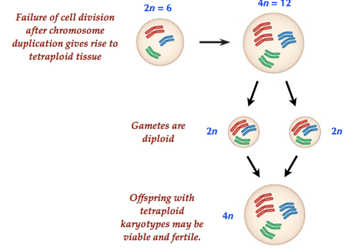 <p>- Within the same species.</p><p>If within the same species</p>