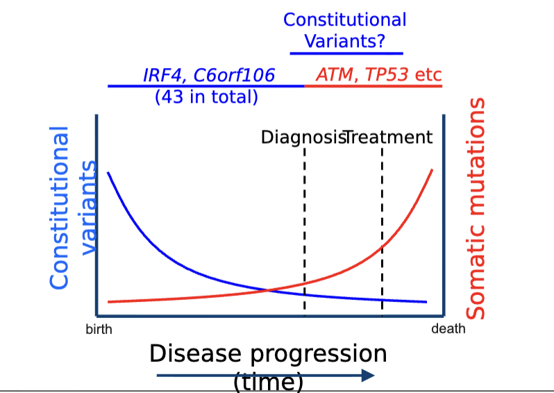 <p>Contribution of constitutional and somatic variants during natural history of disease</p>