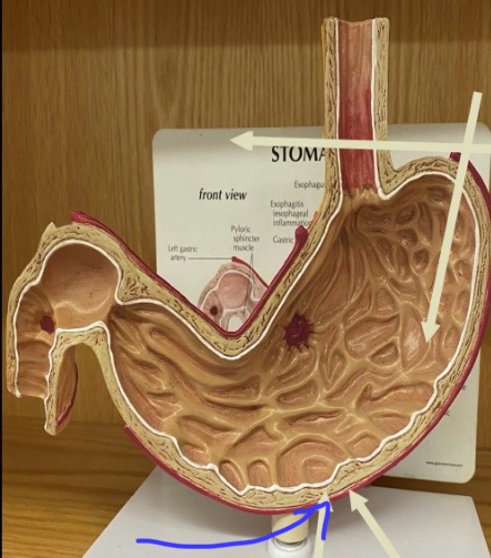 term image