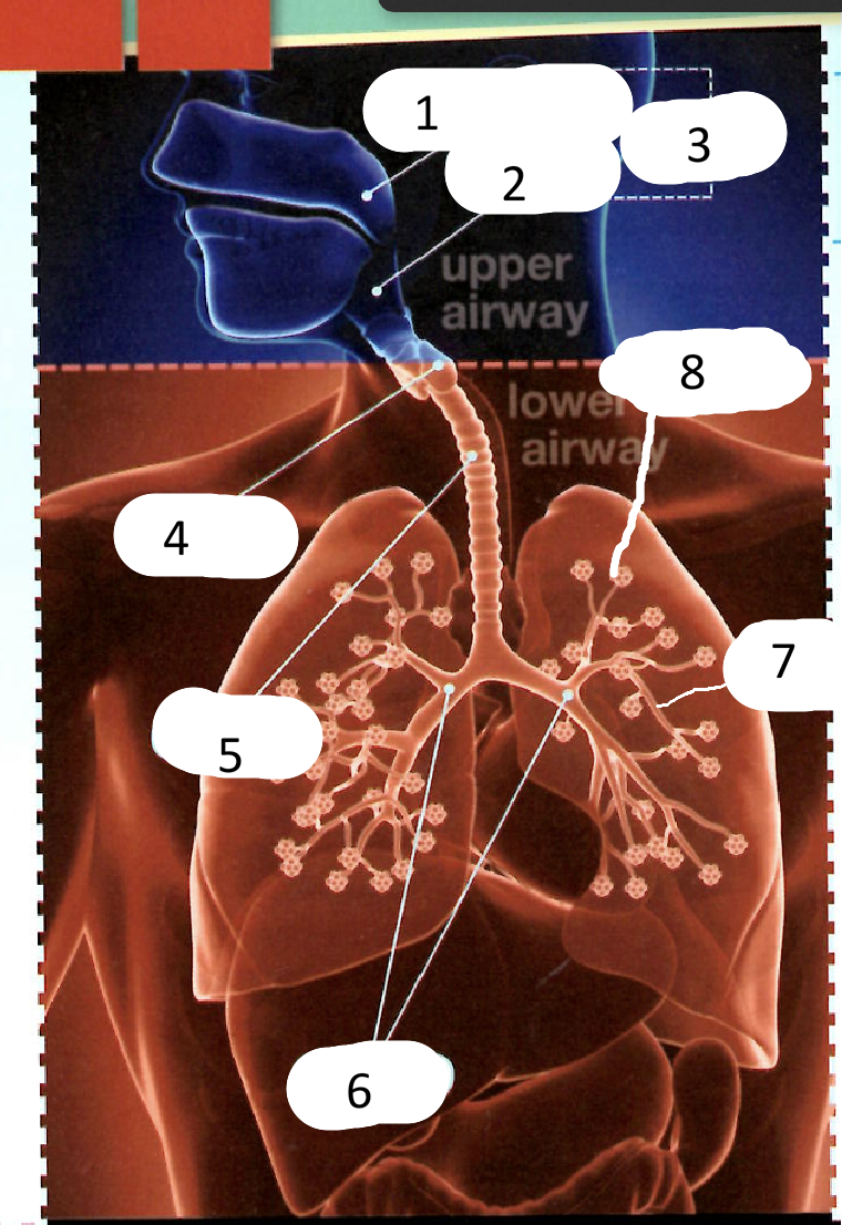 <p>5.</p>