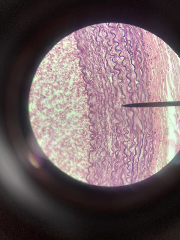 <p>structure name + layer name</p>