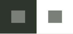<p>How does simultaneous contrast work?</p>