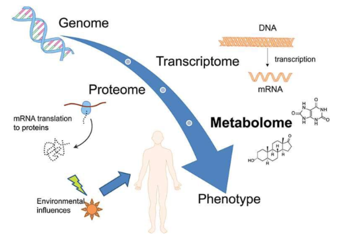 <p><span>Multi-”omics”</span></p>