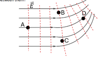 <p>Points B and C</p>