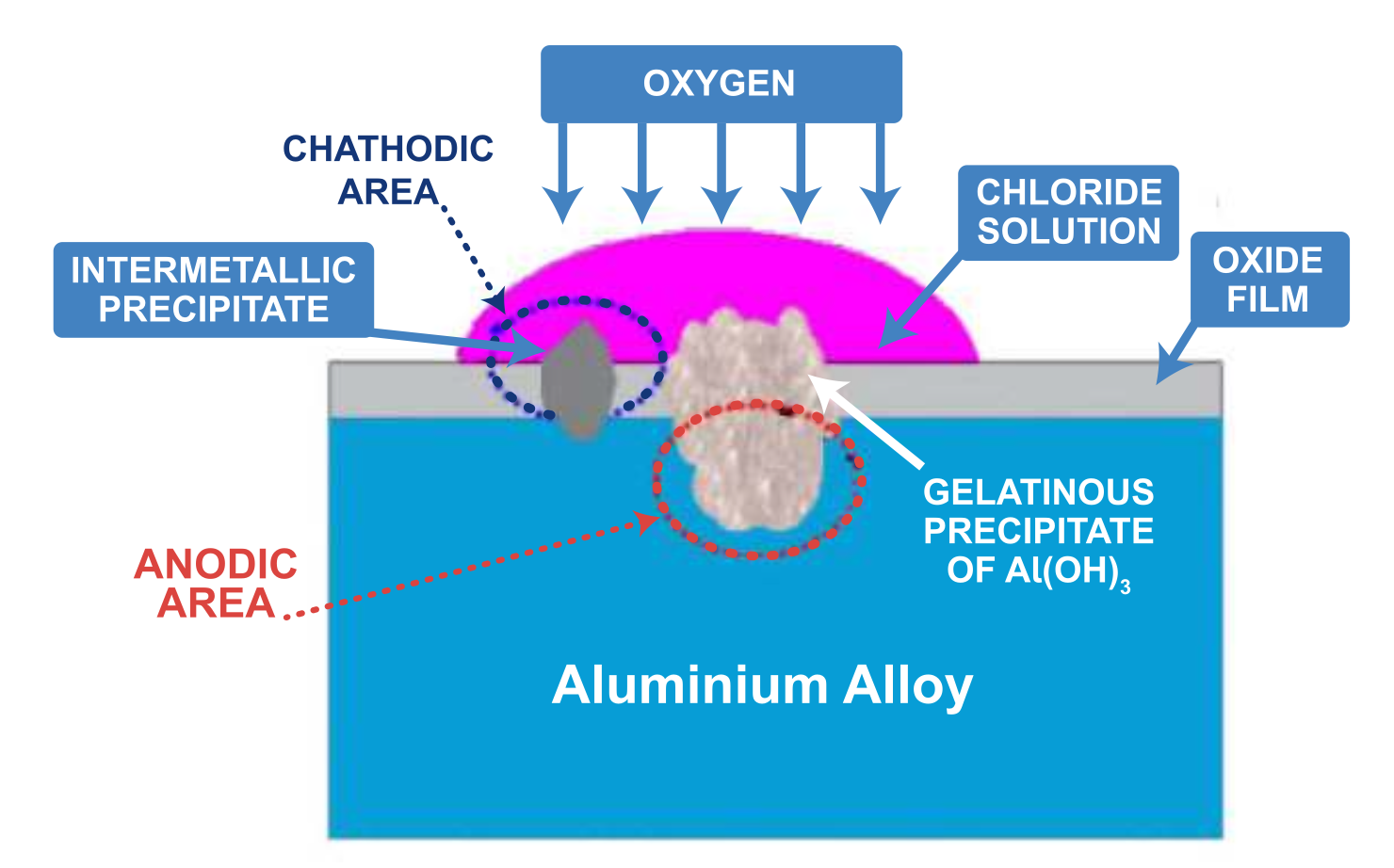 <p>Pitting is untreated surface corrosion progressing into localised anodic attack. Can eat through the full metal thickness. Identified by white powder clumps on the surface.</p>