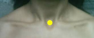 <p></p>