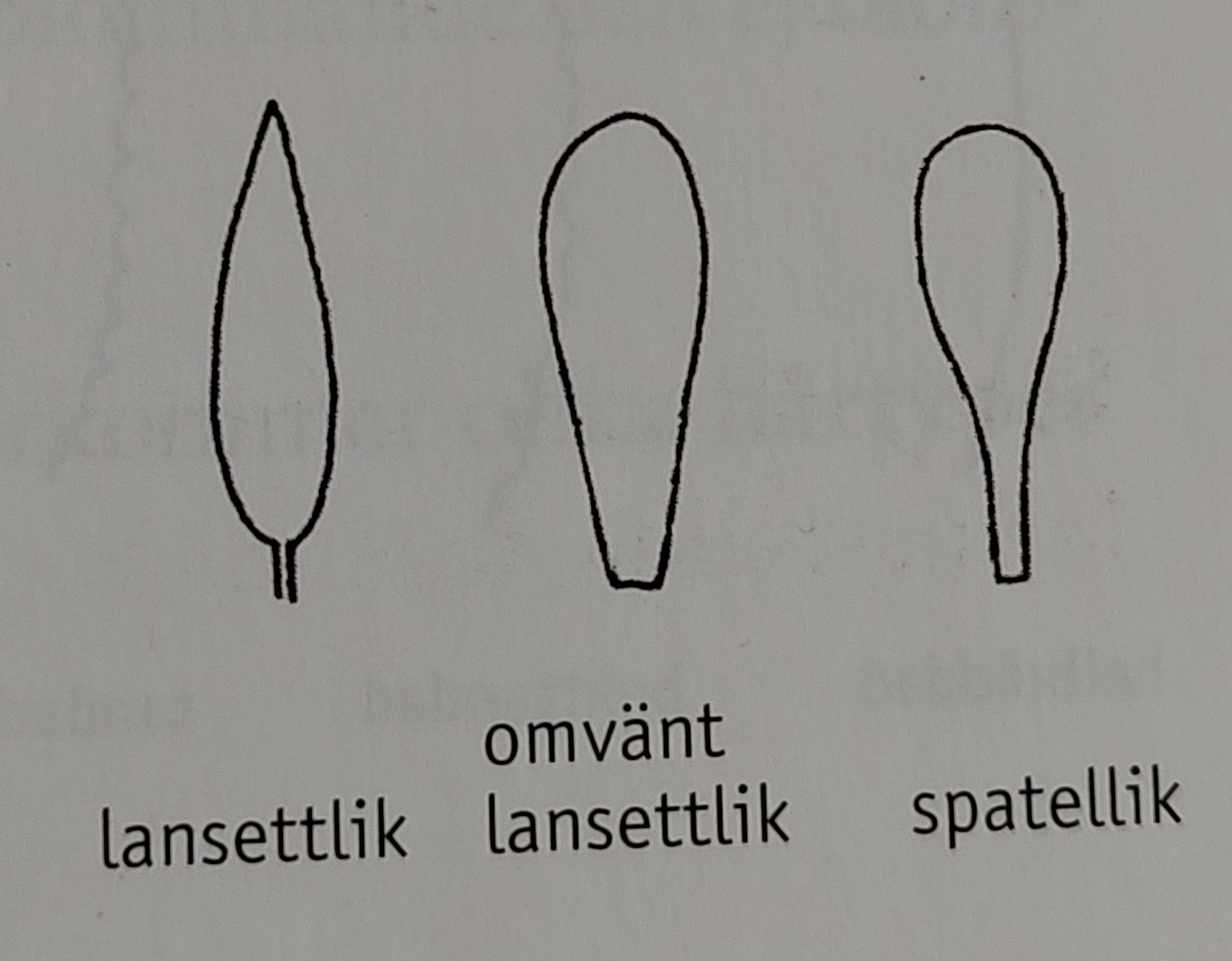<p></p>