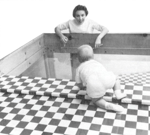 <p>a simple and inexpensive apparatus to test visual acuity and depth perception</p>