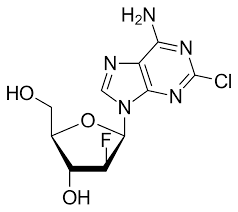 <p>clofarabine</p>