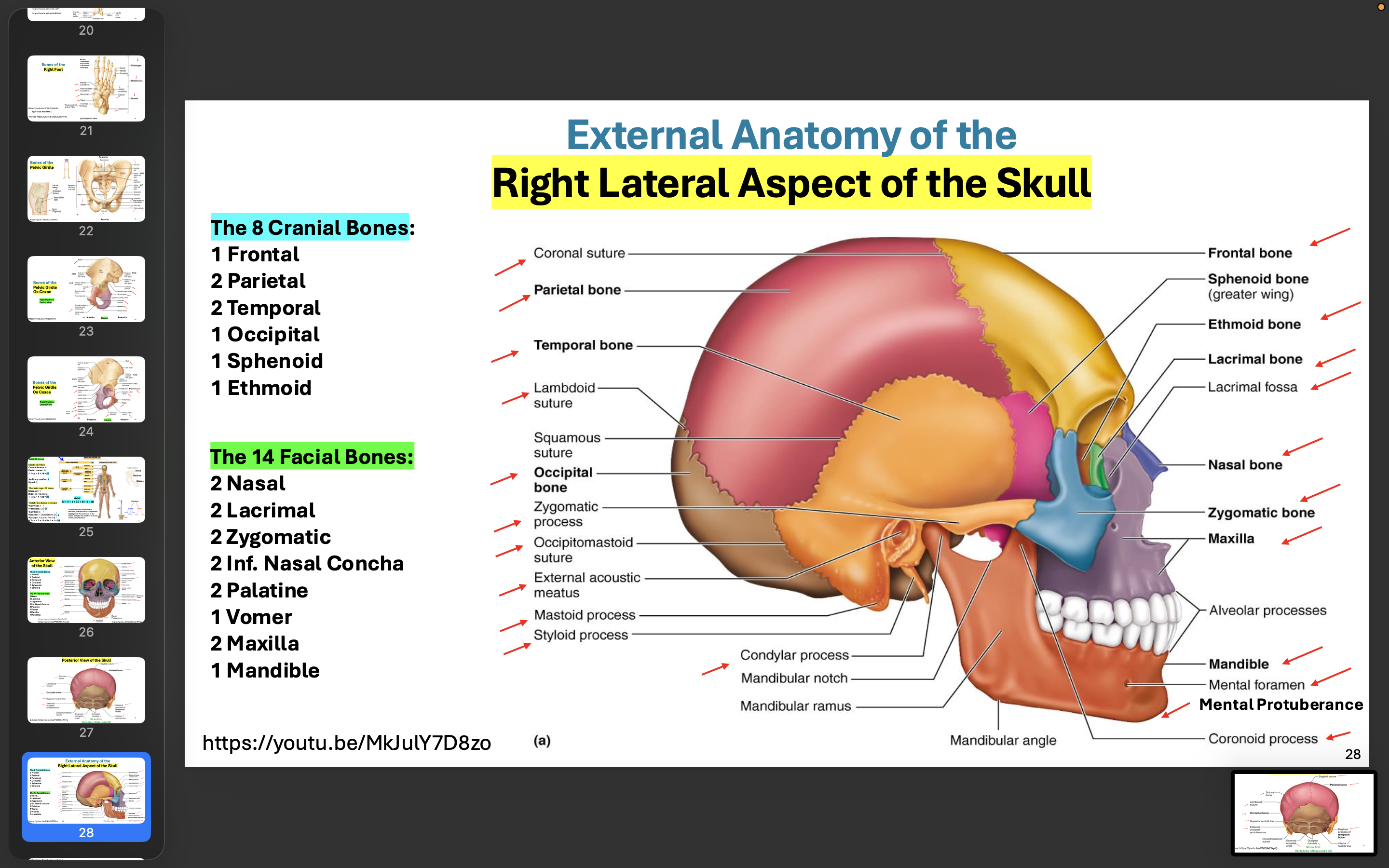 knowt flashcard image