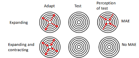 <p>when we adapt to motion, then view stationary test, we experience motion in the opposite direction.</p><p>(motion after effect)</p>