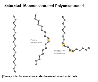 <p>monounsaturated fatty acid </p>