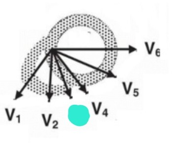 <p>V2 &amp; V4 사이</p>