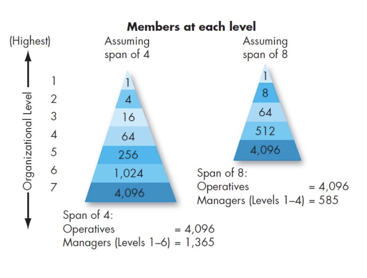 <ul><li><p><span style="background-color: transparent;">The number of employees a manager is expected to effectively and efficiently direct</span></p></li><li><p><span style="background-color: transparent;">Ex: span of 4 → each level of employees increases by 4x</span></p></li><li><p><span style="background-color: transparent;">Span of control is bigger when the number is larger (i.e. span of 8)</span></p></li><li><p><span style="background-color: transparent;">Hierarchy (organization level) becomes taller if span is smaller (i.e. span of 4)</span></p></li><li><p><span style="background-color: transparent;"><strong>Determines the number of levels and managers an organization has</strong></span></p><ul><li><p><span style="background-color: transparent;">Narrow (tall): more levels, closer supervision, higher costs</span></p></li><li><p><span style="background-color: transparent;">Wide (flat): fewer levels, less oversight, lower costs</span></p></li></ul></li></ul><p></p>