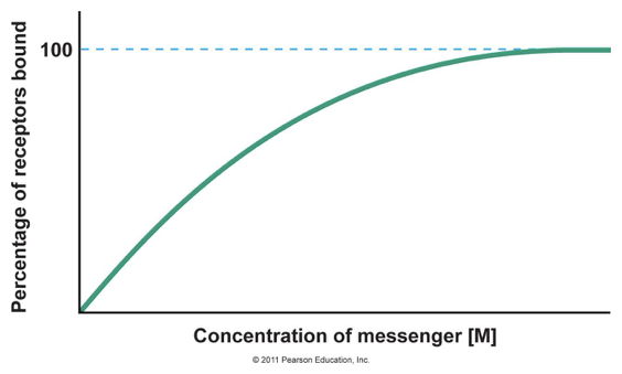 <p>what does the blue dotted line mean?</p>