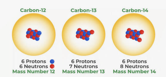 <p>Atoms of the same element within the same number of protons but different number of neutrons</p>