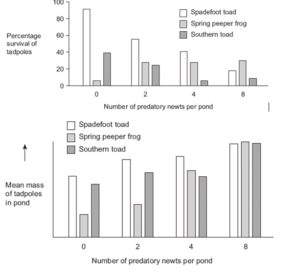 <p>The young of frogs and toads are called tadpoles. Ecologists investigated the effect of predation on three species of tadpole. They set up four artificial pond communities.</p><p class="MsoNormal">Each community contained</p><p class="MsoNormal">• 200 spadefoot toad tadpoles</p><p class="MsoNormal">• 300 spring peeper frog tadpoles</p><p class="MsoNormal">• 300 southern toad tadpoles.</p><p class="MsoNormal">The ecologists then added a different number of newts to each pond. Newts are predators. <strong>Figure 1</strong> shows the effect of increasing the number of newts on the percentage survival of the tadpoles of each species. </p><p><span style="font-family: Arial, sans-serif; line-height: 115%;"><strong>Figure 2</strong> shows how the masses of the tadpoles were affected in each pond during the investigation.</span></p><p><span style="font-family: Arial, sans-serif; line-height: 115%;">Using the information provided in <strong>Figure 1</strong> explain the results obtained in <strong>Figure 2 </strong>(2) </span></p>