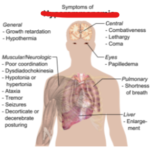 <p>Slight increases of ammonium above the range (approximately 10–30 micromolar) can lead to what condition </p>