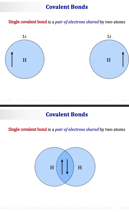 <p><span><strong>Single covalent bond</strong></span> = a <span><strong>pair of electrons shared</strong></span> by two atoms.</p><p>&nbsp;</p><p>Two hydrogen atoms each contribute <span><strong>1 electron</strong></span> from their 1s orbitals. When they come together, their orbitals <span><strong>overlap</strong></span> and the two electrons are now shared — each electron belongs to both atoms simultaneously. This shared pair is what holds the two H atoms together.</p><p>&nbsp;</p><p>The overlapping region (shown as the darker area where the two circles overlap) is where the two electrons spend most of their time — pulled equally to both nuclei.</p><p>&nbsp;</p>