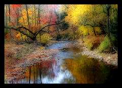 <p>el otoño</p>