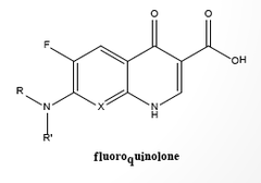 <p>which groups can be substituted for potency and spectrum of activity</p>