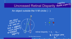 <p>Will a patient see single if an object is OUTSIDE the V-M circle?</p>