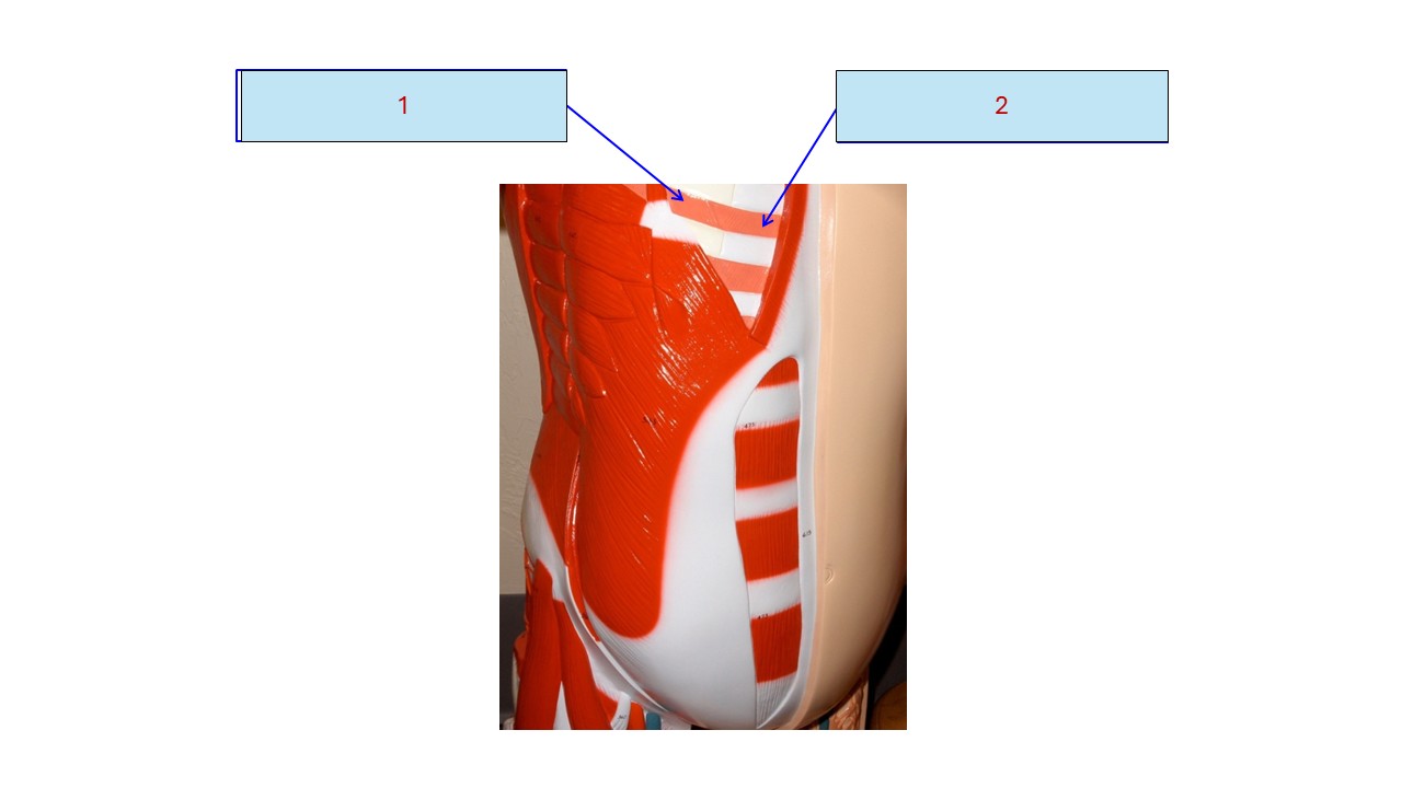 <p>1</p>