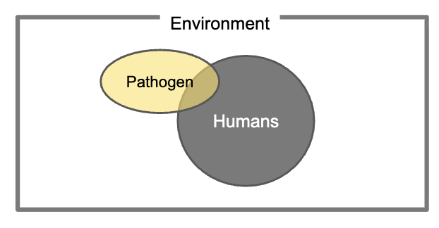 <p>Directly transmissible, two population systems </p>