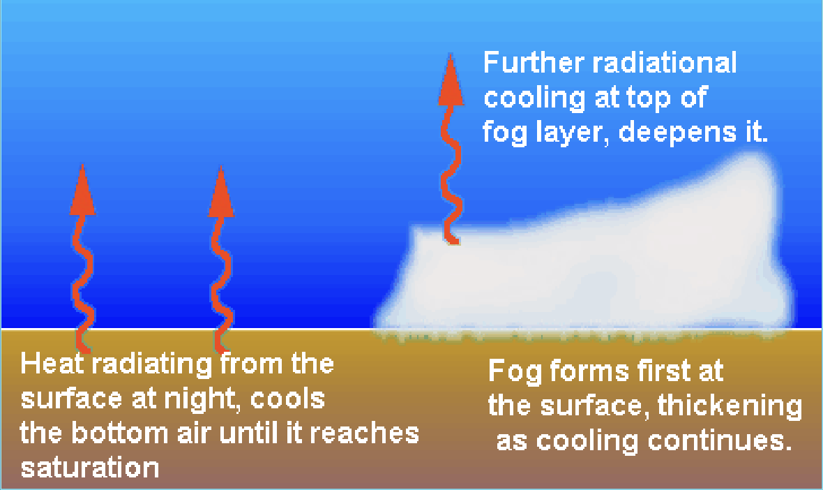 <ul><li><p>Results from rapid cooling of the ground which causes surrounding air to cool to its dew point and condensation occurs</p><ul><li><p>Nighttime phenomena with clear skies and high relative humidity</p></li><li><p>Early morning phenomena that dissipates with sunrise (which warms ground and decreases humidity)</p></li><li><p>Found downslope in hilly terrain</p></li></ul></li></ul><p></p>