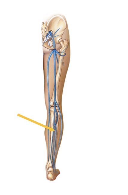 <p>Name the structure</p>