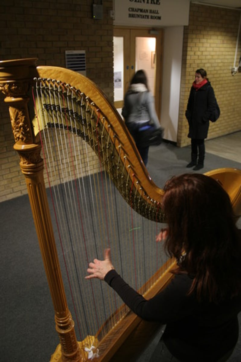 <p>une harpe</p>