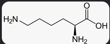 <p>What is this amino acid? </p>
