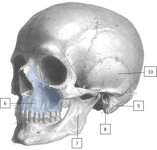 <p>7</p>