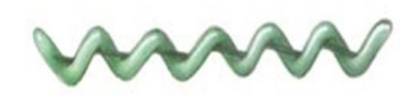 <p>What shape of bacteria is this called?</p>